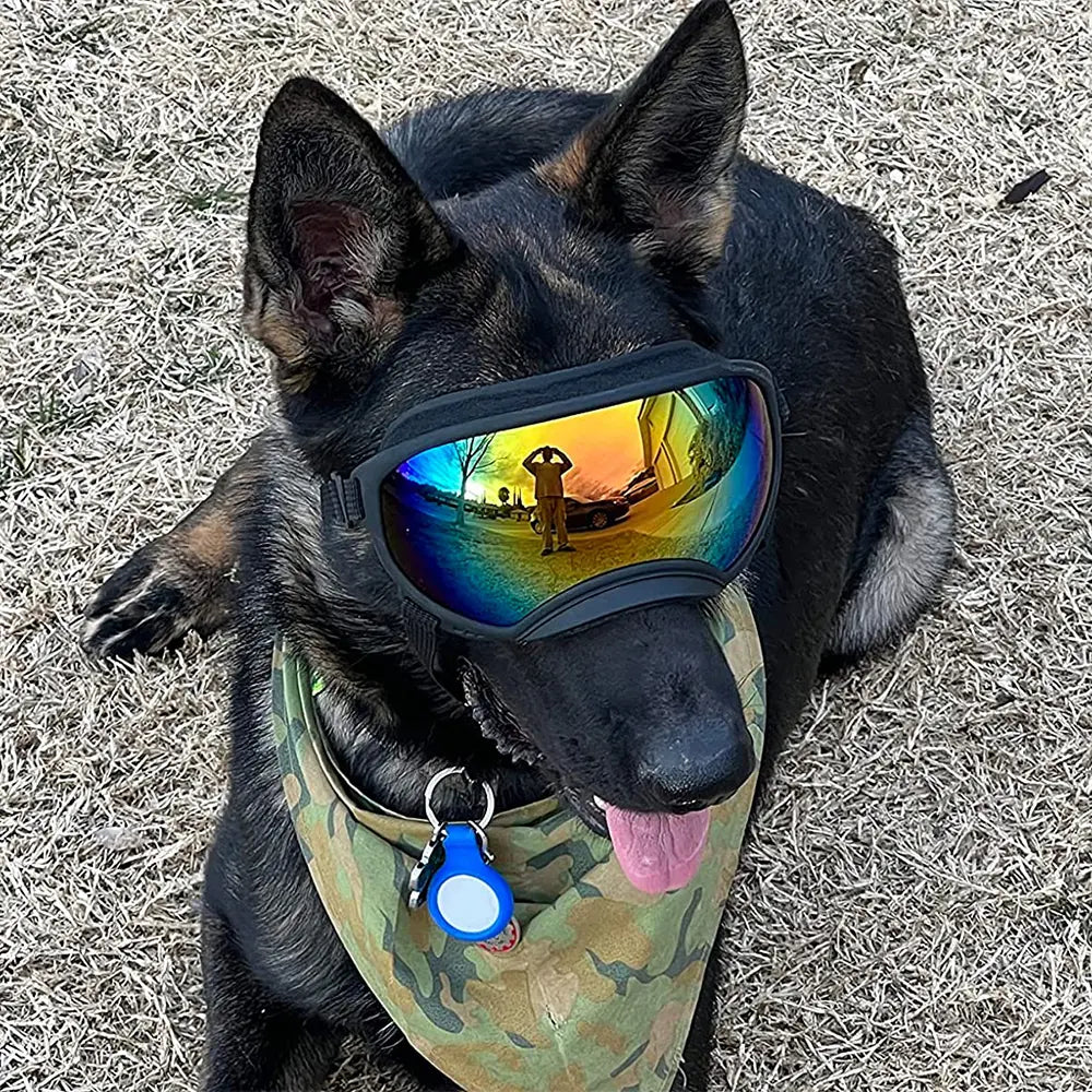 Dog Goggles Sunglasses Anti-Uv Sun Glasses Eyewear Protection #Summervibes #Petlovers Adjustable Windproof Sunglasses Pet Dog Supplies for Travel
