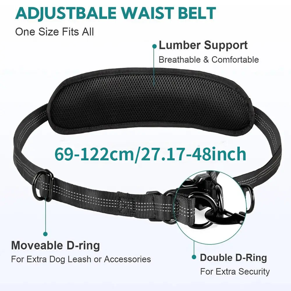 Pipidodo Hands Free Dog Leash with Waist Bag & Cushioned Pad – Run, Walk & Stay Active, No Waist Pain, Shock-Absorbing for Single & Dual Dogs