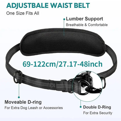 Pipidodo Hands Free Dog Leash with Waist Bag & Cushioned Pad – Run, Walk & Stay Active, No Waist Pain, Shock-Absorbing for Single & Dual Dogs
