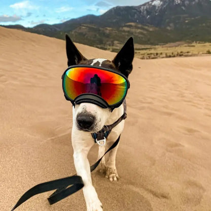 Dog Goggles Sunglasses Anti-Uv Sun Glasses Eyewear Protection #Summervibes #Petlovers Adjustable Windproof Sunglasses Pet Dog Supplies for Travel