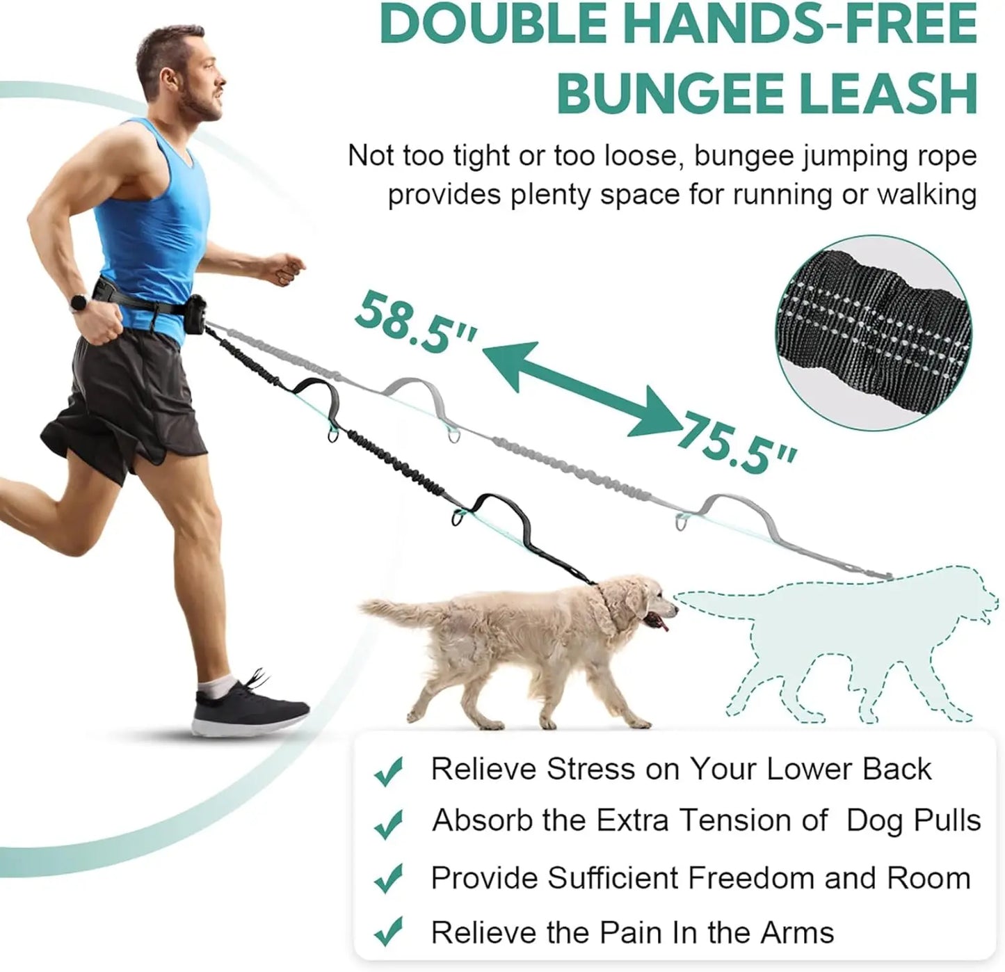 Pipidodo Hands Free Dog Leash with Waist Bag & Cushioned Pad – Run, Walk & Stay Active, No Waist Pain, Shock-Absorbing for Single & Dual Dogs