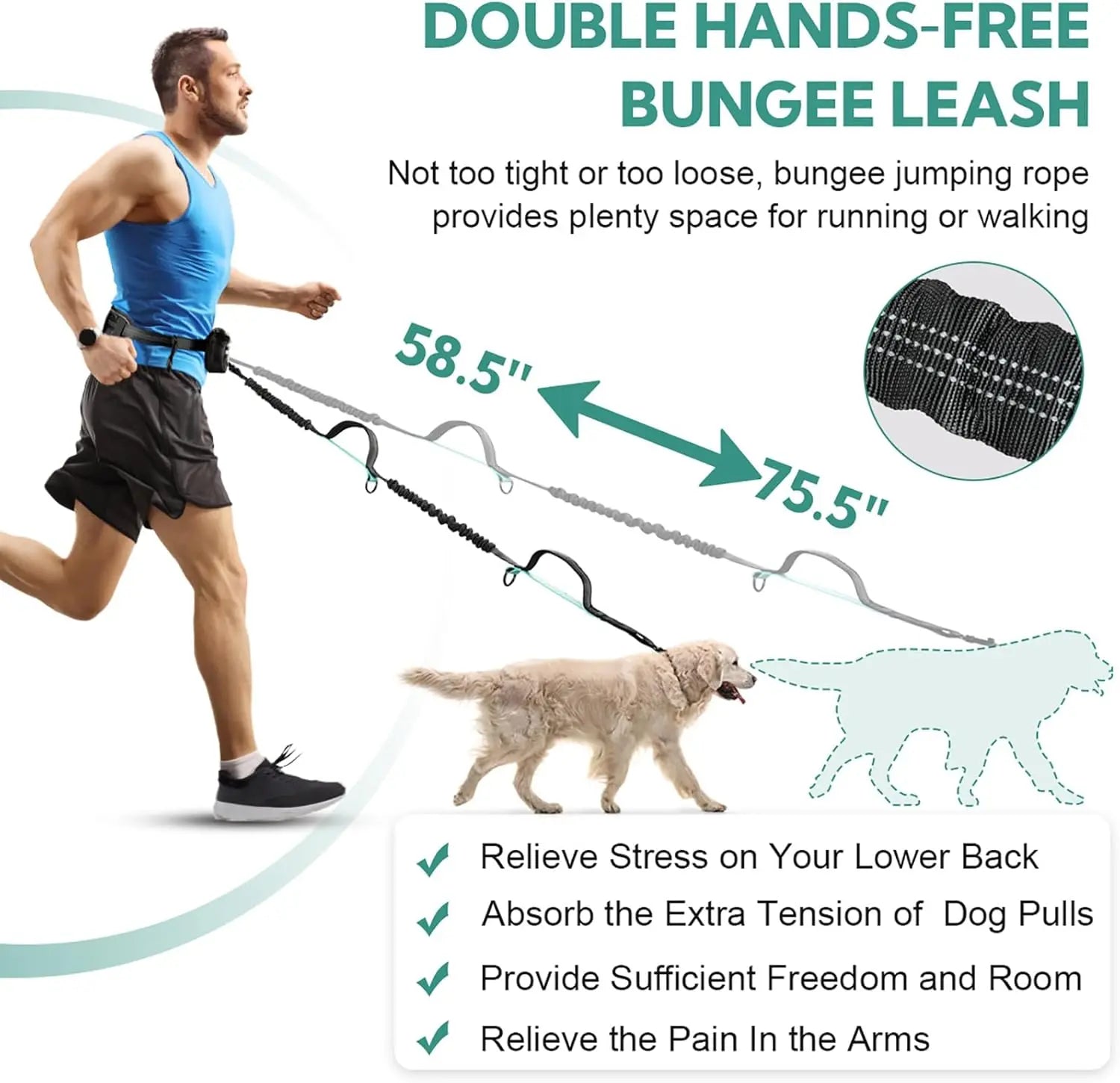 Pipidodo Hands Free Dog Leash with Waist Bag & Cushioned Pad – Run, Walk & Stay Active, No Waist Pain, Shock-Absorbing for Single & Dual Dogs