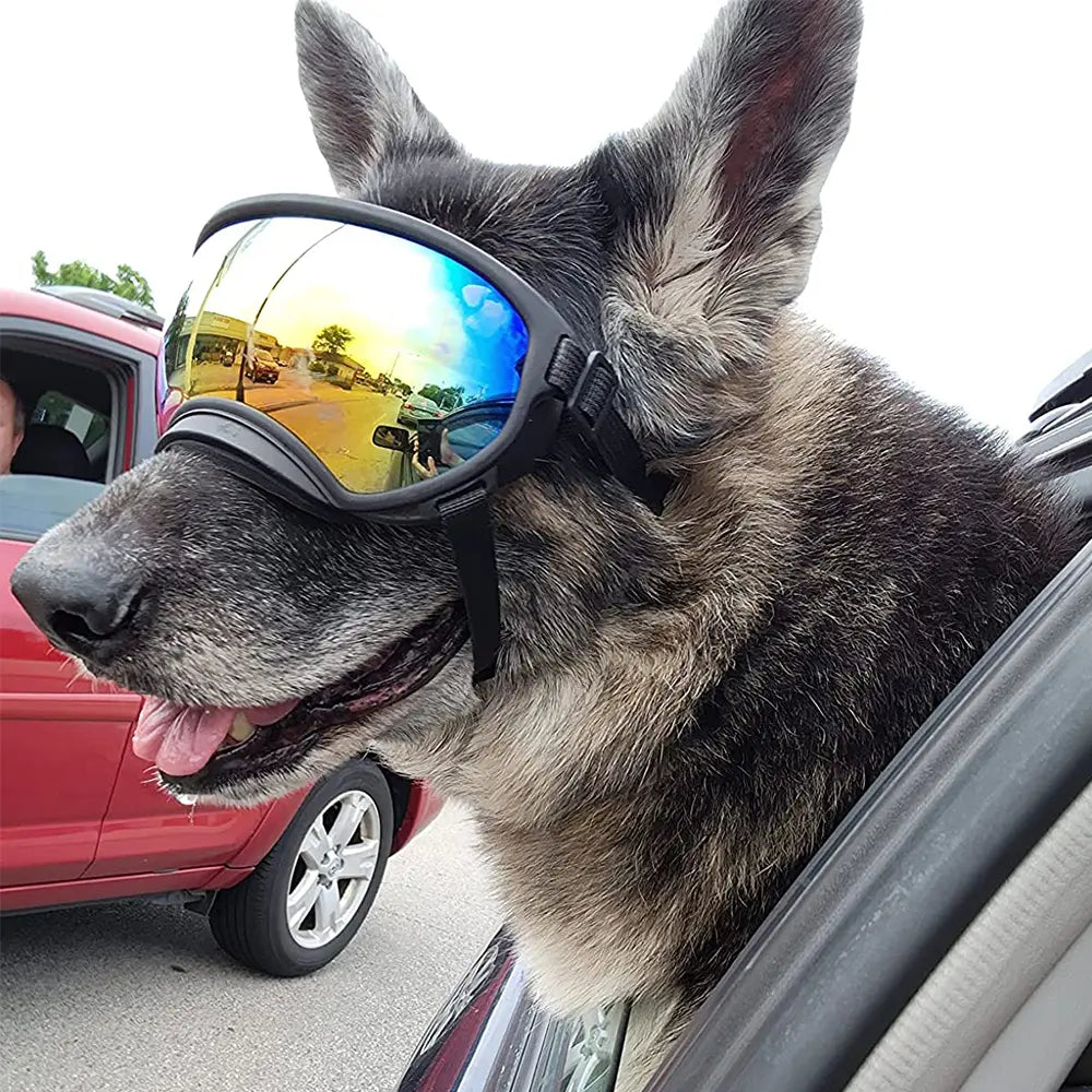 Dog Goggles Sunglasses Anti-Uv Sun Glasses Eyewear Protection #Summervibes #Petlovers Adjustable Windproof Sunglasses Pet Dog Supplies for Travel