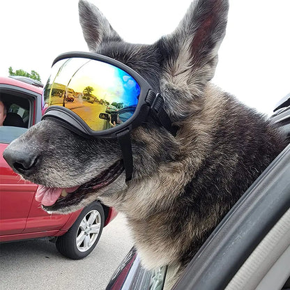 Dog Goggles Sunglasses Anti-Uv Sun Glasses Eyewear Protection #Summervibes #Petlovers Adjustable Windproof Sunglasses Pet Dog Supplies for Travel