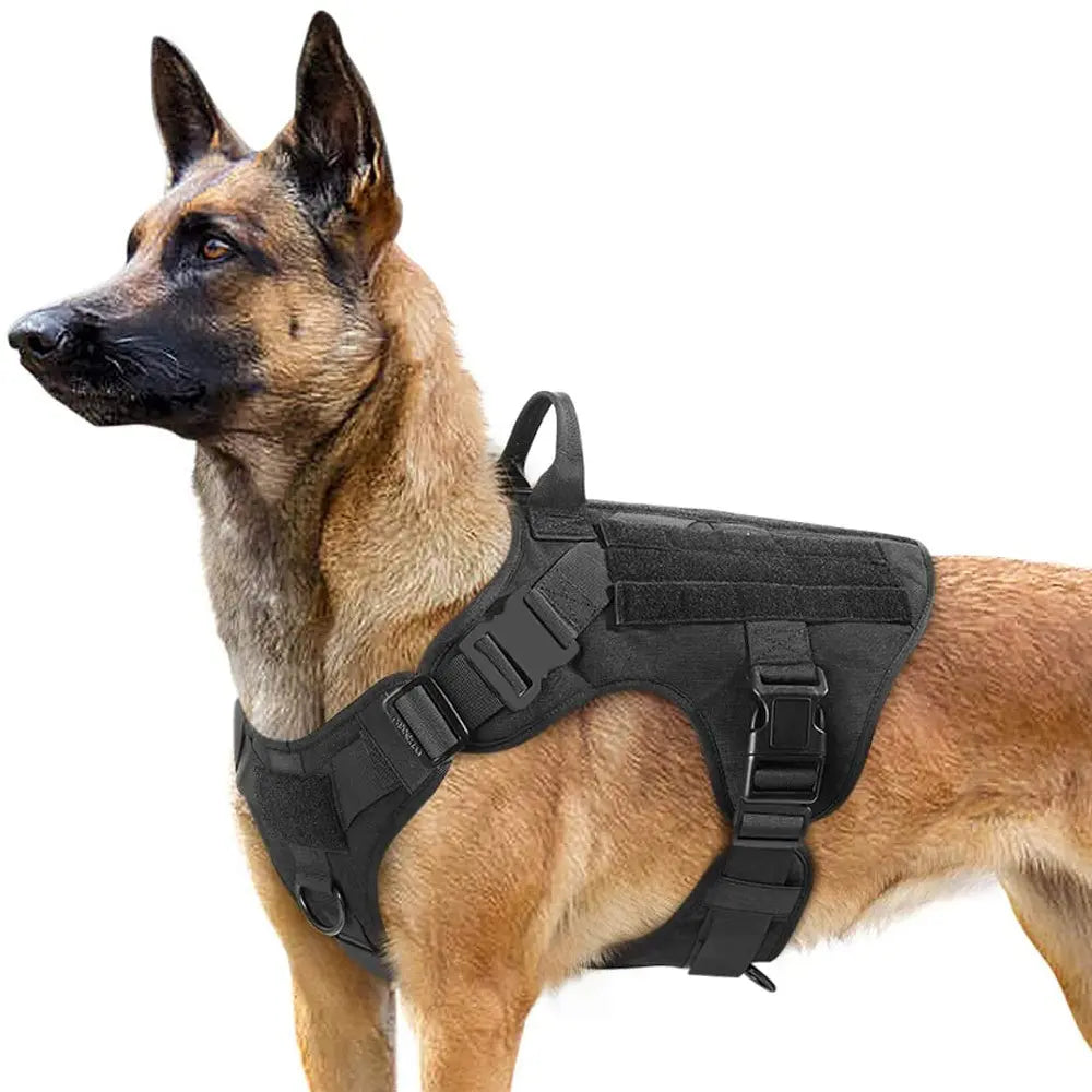 Tactical Dog Harness and Easy Control Training Dog Collar with Bungee Dog Leash Set, #Summervibes #Petlovers Heavy Duty Dog Harness with Handle, No-Pull Service Military Dog Vest Harness for Training Hunting Walking