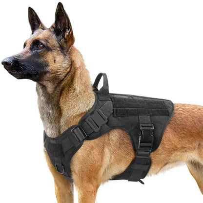 Tactical Dog Harness and Easy Control Training Dog Collar with Bungee Dog Leash Set, #Summervibes #Petlovers Heavy Duty Dog Harness with Handle, No-Pull Service Military Dog Vest Harness for Training Hunting Walking