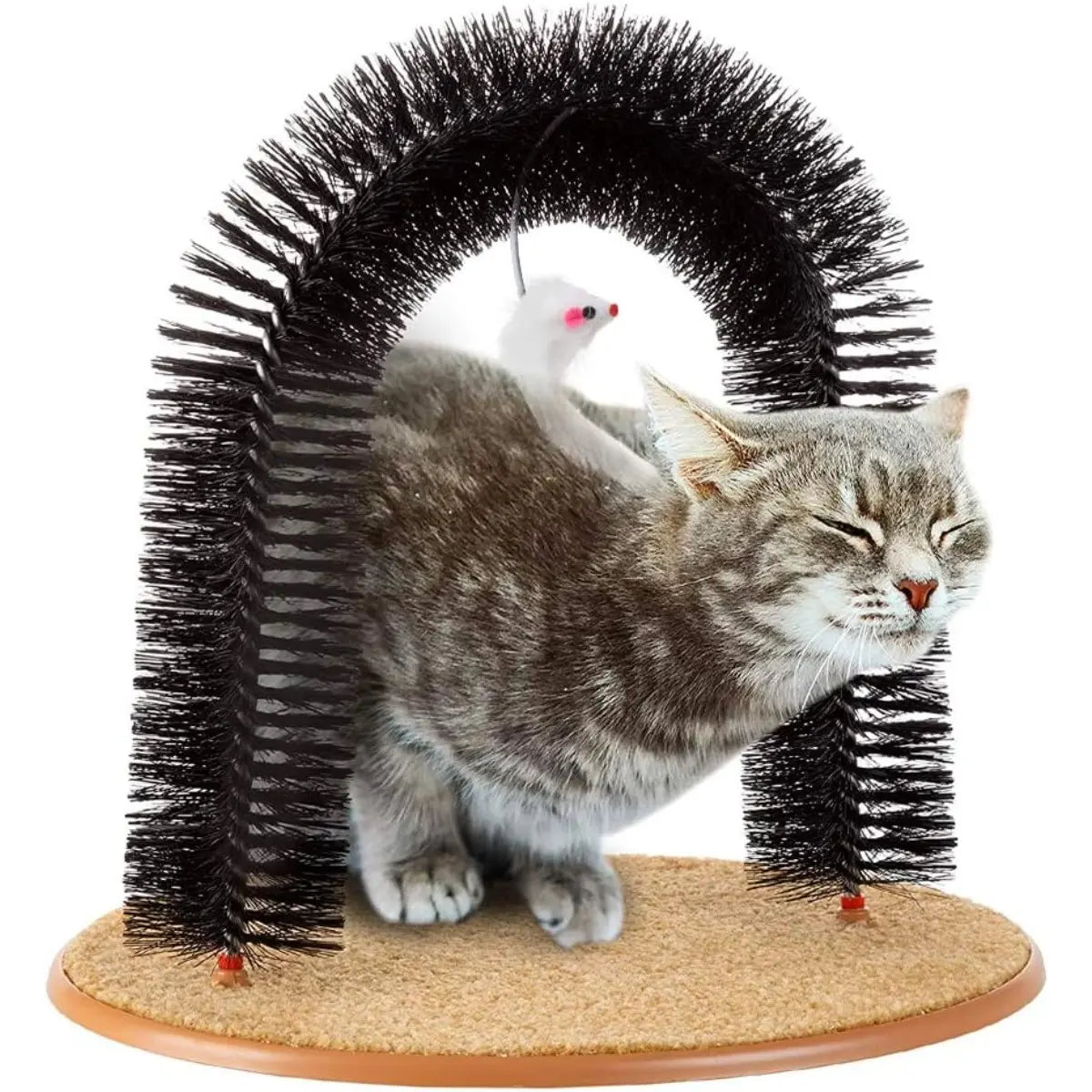 Heavy Duty Cat Self Grooming Arch with Gentle Massage Tips for Indoor Cats Effective Shedding Reduction and Stress Relief Easy Installation Pet Gift