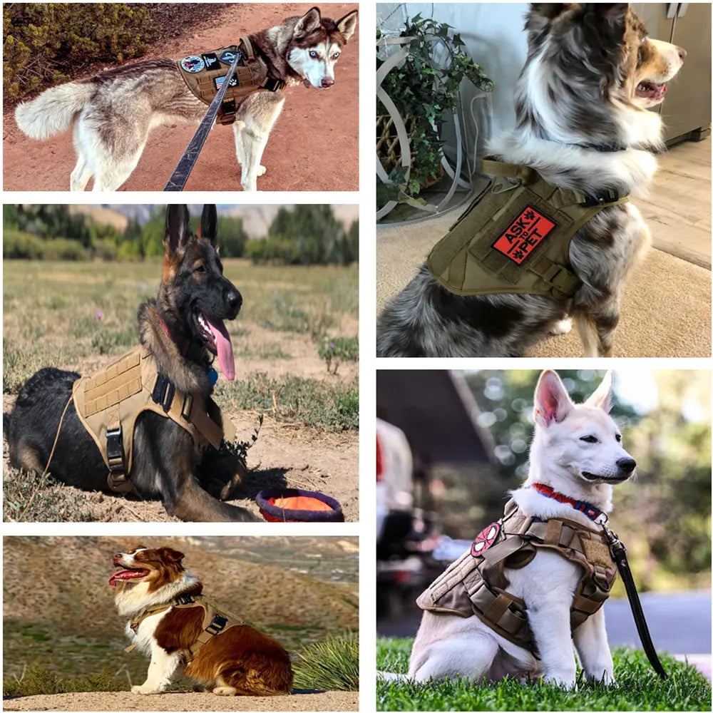 Tactical Dog Harness and Easy Control Training Dog Collar with Bungee Dog Leash Set, #Summervibes #Petlovers Heavy Duty Dog Harness with Handle, No-Pull Service Military Dog Vest Harness for Training Hunting Walking