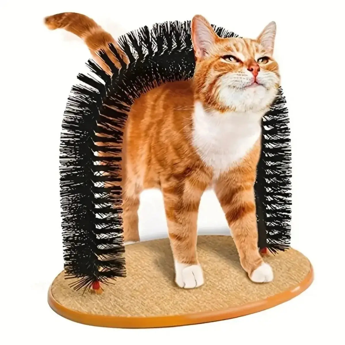 Heavy Duty Cat Self Grooming Arch with Gentle Massage Tips for Indoor Cats Effective Shedding Reduction and Stress Relief Easy Installation Pet Gift
