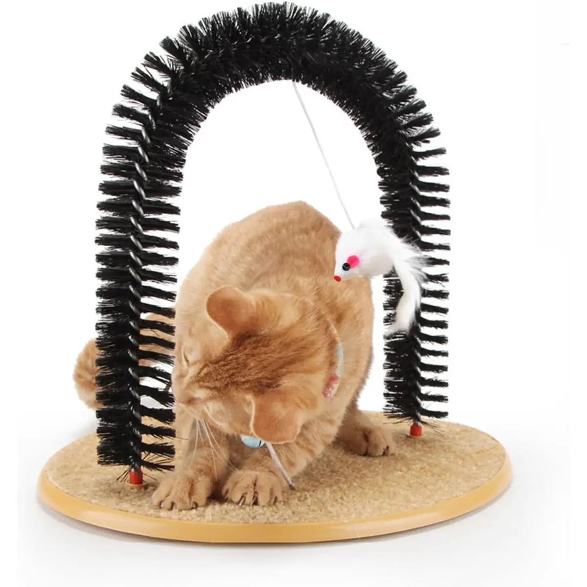 Heavy Duty Cat Self Grooming Arch with Gentle Massage Tips for Indoor Cats Effective Shedding Reduction and Stress Relief Easy Installation Pet Gift